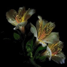 Cross stitch pattern: #444258