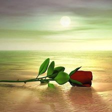 Cross stitch pattern: #444283