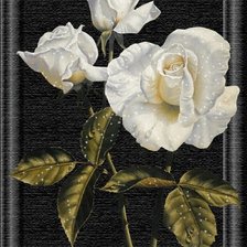 Cross stitch pattern: #444982