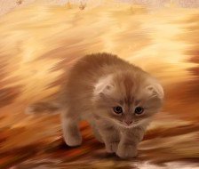 Cross stitch pattern: #444986