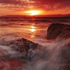 Cross stitch pattern: #445003