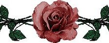Cross stitch pattern: #445054