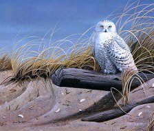 Cross stitch pattern: #445124