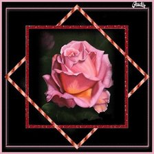 Cross stitch pattern: #445159