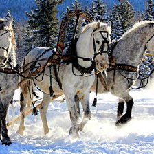 Cross stitch pattern: #445360