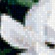 Preview of cross stitch pattern: #445433