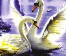 Cross stitch pattern: #445863