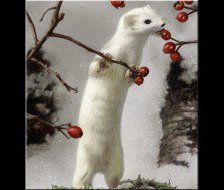Cross stitch pattern: #445872