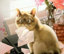 Cross stitch pattern: #445873