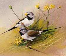 Cross stitch pattern: #445960