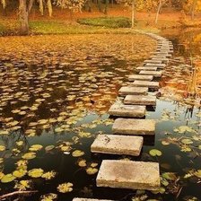 Cross stitch pattern: #446557
