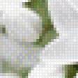 Preview of cross stitch pattern: #446565