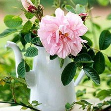 Cross stitch pattern: #446570