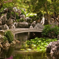 Cross stitch pattern: #446666