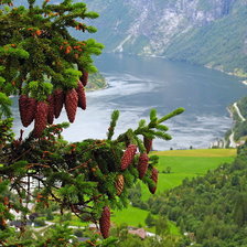 Cross stitch pattern: #446671