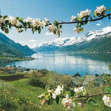 Cross stitch pattern: #446676