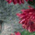 Preview of cross stitch pattern: #446874