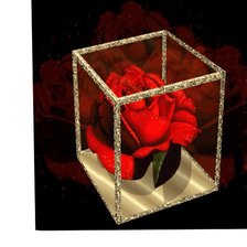 Cross stitch pattern: #447061