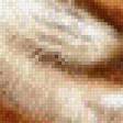 Preview of cross stitch pattern: #447274