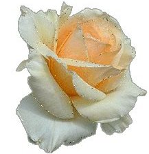 Cross stitch pattern: #447372