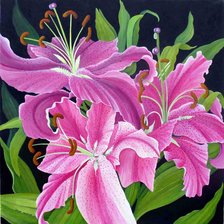 Cross stitch pattern: #447499