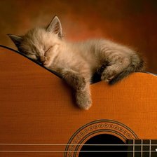 Cross stitch pattern: #447501