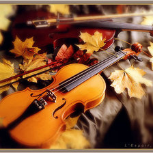 Cross stitch pattern: #447504