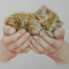 Cross stitch pattern: #447630