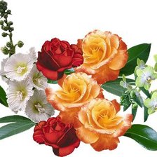 Cross stitch pattern: #447639