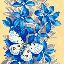 Cross stitch pattern: #447654