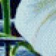 Preview of cross stitch pattern: #447732