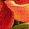 Preview of cross stitch pattern: #447733