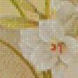 Preview of cross stitch pattern: #448567