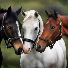 Cross stitch pattern: #448850