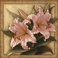 Cross stitch pattern: #448872