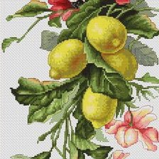 Cross stitch pattern: #448875