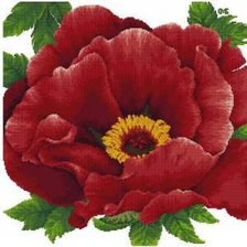 Cross stitch pattern: #448880