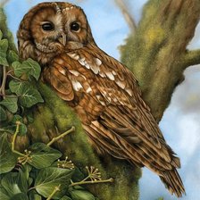 Cross stitch pattern: #449342