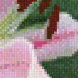 Preview of cross stitch pattern: #450101