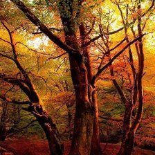 Cross stitch pattern: #450396