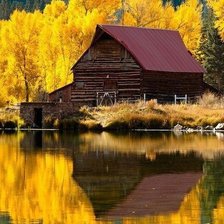 Cross stitch pattern: #450478
