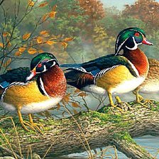 Cross stitch pattern: #451201
