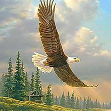 Cross stitch pattern: #451203