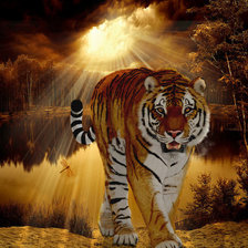 Cross stitch pattern: #451747
