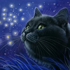 Cross stitch pattern: #452092