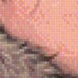 Preview of cross stitch pattern: #452161