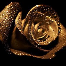 Cross stitch pattern: #452247