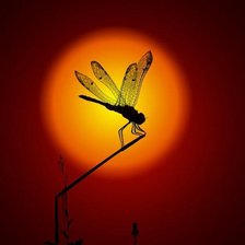 Cross stitch pattern: #452869