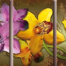 Cross stitch pattern: #453046