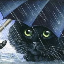 Cross stitch pattern: #454321